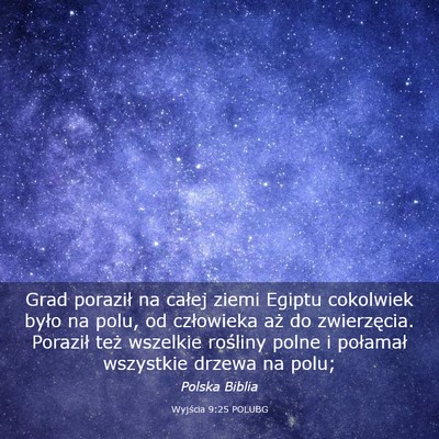 Picture 03 - Wyjścia 9:25 POLUBG - Grad poraził na całej ziemi Egiptu cokolwiek - Bible Verse Picture