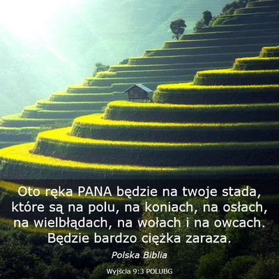 Picture 03 - Wyjścia 9:3 POLUBG - Oto ręka PANA będzie na twoje stada, które są - Bible Verse Picture