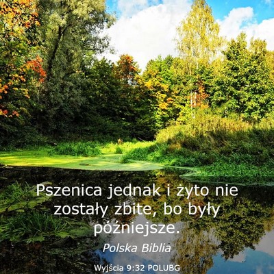 Picture 03 - Wyjścia 9:32 POLUBG - Pszenica jednak i żyto nie zostały zbite, bo - Bible Verse Picture