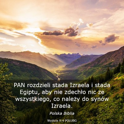 Picture 03 - Wyjścia 9:4 POLUBG - PAN rozdzieli stada Izraela i stada Egiptu, aby - Bible Verse Picture