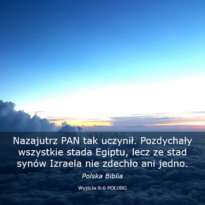 Picture 03 - Wyjścia 9:6 POLUBG - Nazajutrz PAN tak uczynił. Pozdychały wszystkie - Bible Verse Picture