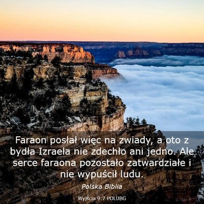 Picture 03 - Wyjścia 9:7 POLUBG - Faraon posłał więc na zwiady, a oto z bydła - Bible Verse Picture