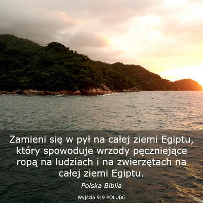 Picture 03 - Wyjścia 9:9 POLUBG - Zamieni się w pył na całej ziemi Egiptu, - Bible Verse Picture