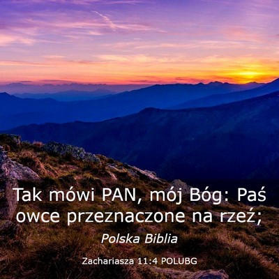 Picture 03 - Zachariasza 11:4 POLUBG - Tak mówi PAN, mój Bóg: Paś owce przeznaczone - Bible Verse Picture