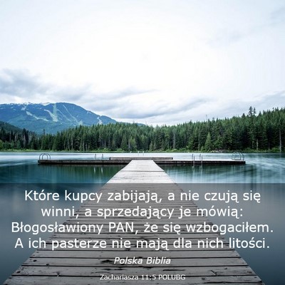 Picture 03 - Zachariasza 11:5 POLUBG - Które kupcy zabijają, a nie czują się winni, - Bible Verse Picture