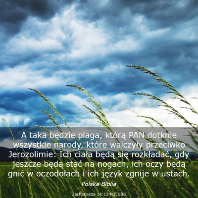 Picture 03 - Zachariasza 14:12 POLUBG - A taka będzie plaga, którą PAN dotknie - Bible Verse Picture