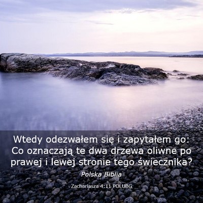 Picture 03 - Zachariasza 4:11 POLUBG - Wtedy odezwałem się i zapytałem go: Co - Bible Verse Picture