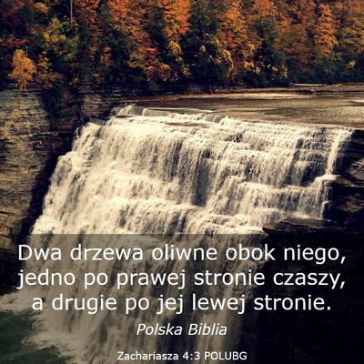 Picture 03 - Zachariasza 4:3 POLUBG - Dwa drzewa oliwne obok niego, jedno po prawej - Bible Verse Picture