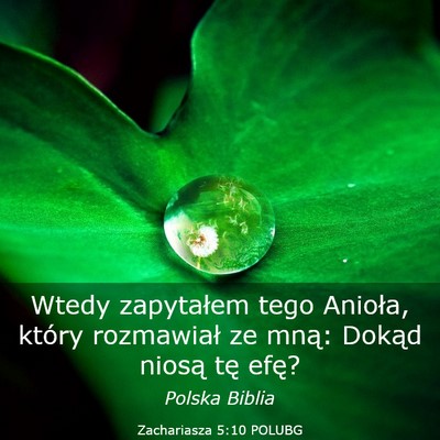 Picture 03 - Zachariasza 5:10 POLUBG - Wtedy zapytałem tego Anioła, który rozmawiał - Bible Verse Picture