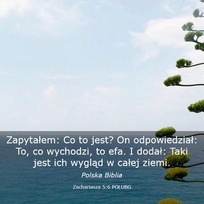 Picture 03 - Zachariasza 5:6 POLUBG - Zapytałem: Co to jest? On odpowiedział: To, co - Bible Verse Picture