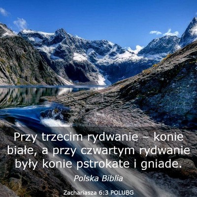 Picture 03 - Zachariasza 6:3 POLUBG - Przy trzecim rydwanie – konie białe, a przy - Bible Verse Picture