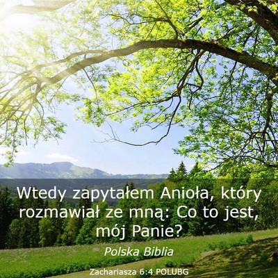 Picture 03 - Zachariasza 6:4 POLUBG - Wtedy zapytałem Anioła, który rozmawiał ze - Bible Verse Picture