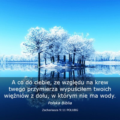 Picture 03 - Zachariasza 9:11 POLUBG - A co do ciebie, ze względu na krew twego - Bible Verse Picture