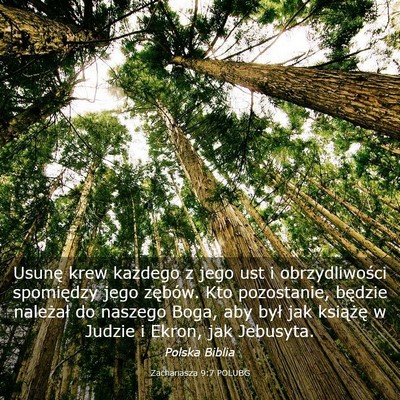 Picture 03 - Zachariasza 9:7 POLUBG - Usunę krew każdego z jego ust i obrzydliwości - Bible Verse Picture