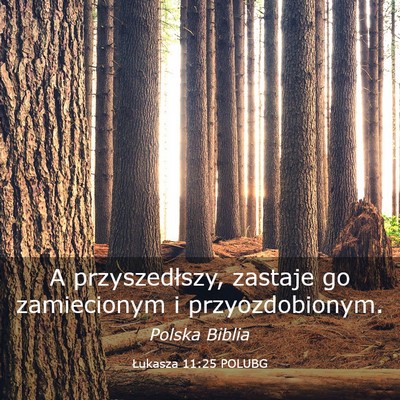 Picture 03 - Łukasza 11:25 POLUBG - A przyszedłszy, zastaje go zamiecionym i - Bible Verse Picture