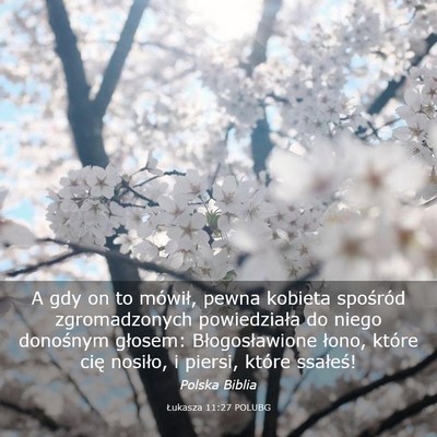 Picture 03 - Łukasza 11:27 POLUBG - A gdy on to mówił, pewna kobieta spośród - Bible Verse Picture