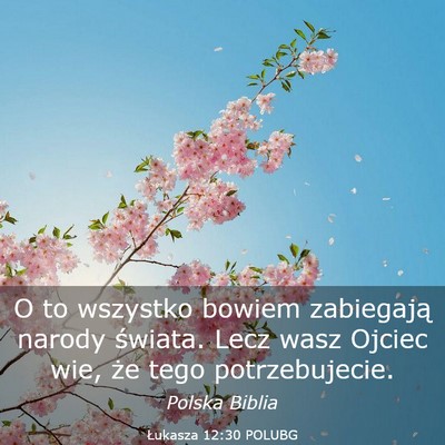 Picture 03 - Łukasza 12:30 POLUBG - O to wszystko bowiem zabiegają narody świata. - Bible Verse Picture