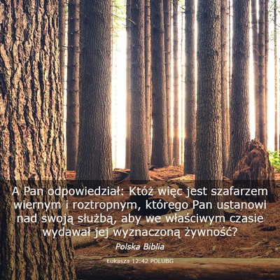 Picture 03 - Łukasza 12:42 POLUBG - A Pan odpowiedział: Któż więc jest szafarzem - Bible Verse Picture