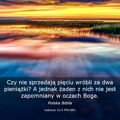 Picture 03 - Łukasza 12:6 POLUBG - Czy nie sprzedają pięciu wróbli za dwa - Bible Verse Picture