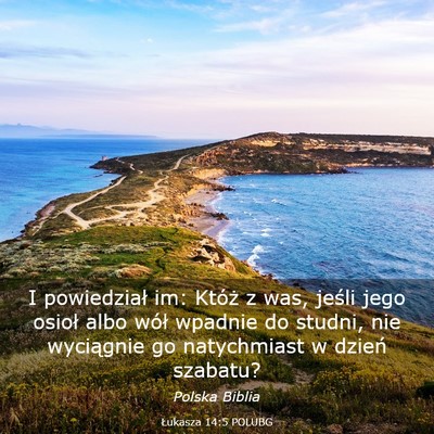 Picture 03 - Łukasza 14:5 POLUBG - I powiedział im: Któż z was, jeśli jego - Bible Verse Picture