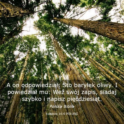Picture 03 - Łukasza 16:6 POLUBG - A on odpowiedział: Sto baryłek oliwy. I - Bible Verse Picture