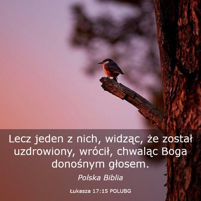 Picture 03 - Łukasza 17:15 POLUBG - Lecz jeden z nich, widząc, że został - Bible Verse Picture