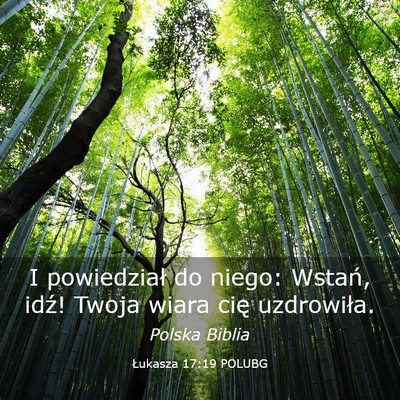 Picture 03 - Łukasza 17:19 POLUBG - I powiedział do niego: Wstań, idź! Twoja wiara - Bible Verse Picture