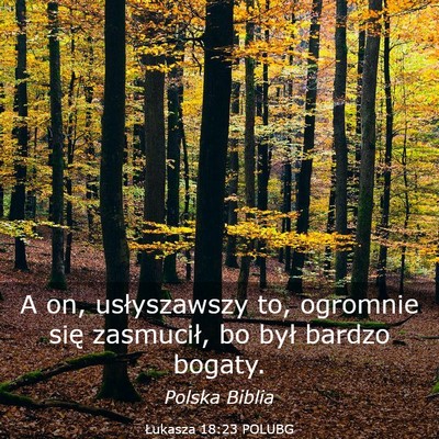 Picture 03 - Łukasza 18:23 POLUBG - A on, usłyszawszy to, ogromnie się zasmucił, - Bible Verse Picture