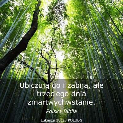 Picture 03 - Łukasza 18:33 POLUBG - Ubiczują go i zabiją, ale trzeciego dnia - Bible Verse Picture