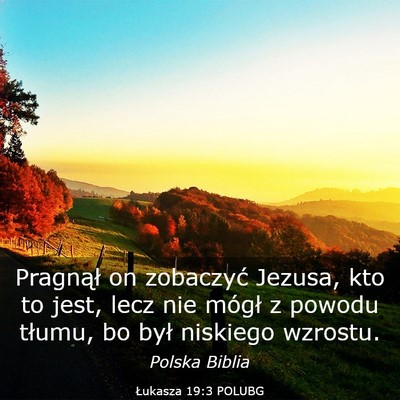 Picture 03 - Łukasza 19:3 POLUBG - Pragnął on zobaczyć Jezusa, kto to jest, lecz - Bible Verse Picture