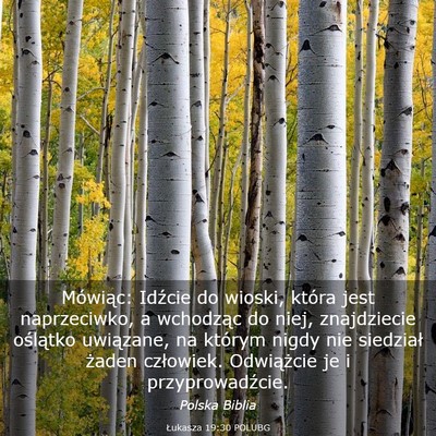 Picture 03 - Łukasza 19:30 POLUBG - Mówiąc: Idźcie do wioski, która jest - Bible Verse Picture