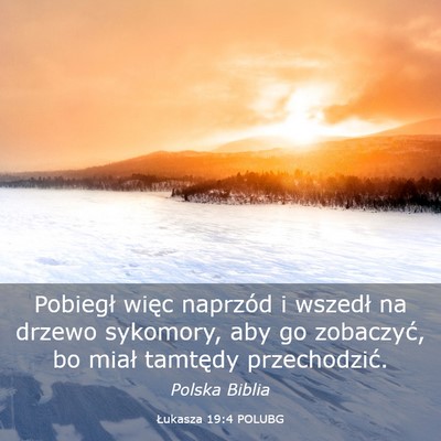 Picture 03 - Łukasza 19:4 POLUBG - Pobiegł więc naprzód i wszedł na drzewo - Bible Verse Picture