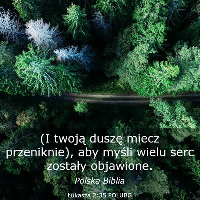 Picture 03 - Łukasza 2:35 POLUBG - (I twoją duszę miecz przeniknie), aby myśli - Bible Verse Picture