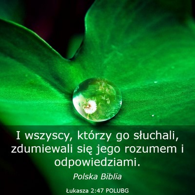 Picture 03 - Łukasza 2:47 POLUBG - I wszyscy, którzy go słuchali, zdumiewali się - Bible Verse Picture