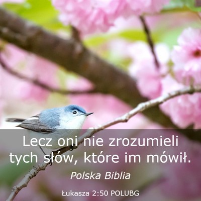 Picture 03 - Łukasza 2:50 POLUBG - Lecz oni nie zrozumieli tych słów, które im - Bible Verse Picture