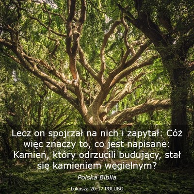 Picture 03 - Łukasza 20:17 POLUBG - Lecz on spojrzał na nich i zapytał: Cóż więc - Bible Verse Picture