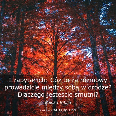 Picture 03 - Łukasza 24:17 POLUBG - I zapytał ich: Cóż to za rozmowy prowadzicie - Bible Verse Picture
