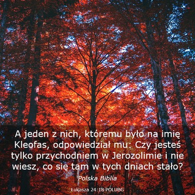 Picture 03 - Łukasza 24:18 POLUBG - A jeden z nich, któremu było na imię Kleofas, - Bible Verse Picture