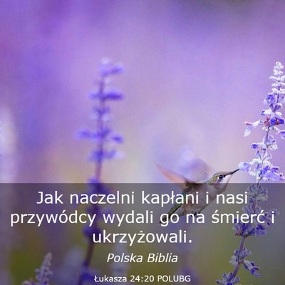 Picture 03 - Łukasza 24:20 POLUBG - Jak naczelni kapłani i nasi przywódcy wydali go - Bible Verse Picture