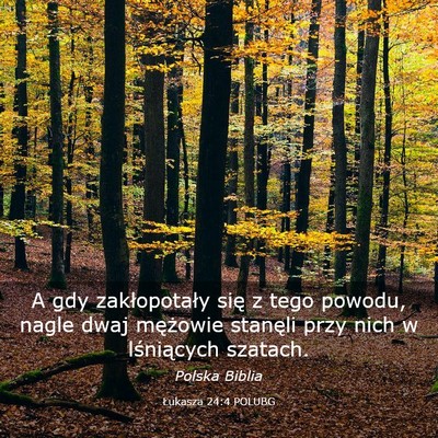 Picture 03 - Łukasza 24:4 POLUBG - A gdy zakłopotały się z tego powodu, nagle - Bible Verse Picture