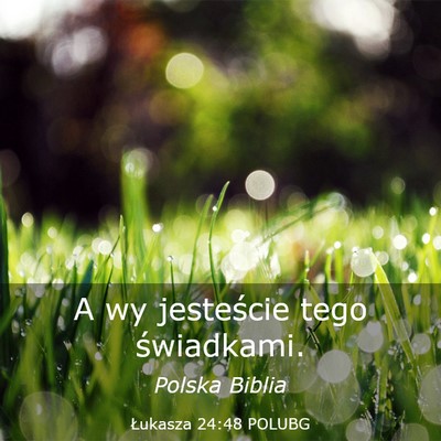 Picture 03 - Łukasza 24:48 POLUBG - A wy jesteście tego - Bible Verse Picture