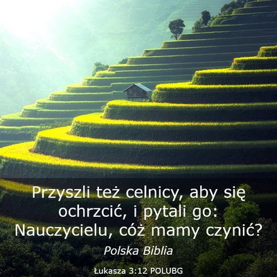 Picture 03 - Łukasza 3:12 POLUBG - Przyszli też celnicy, aby się ochrzcić, i - Bible Verse Picture