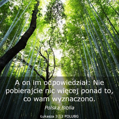 Picture 03 - Łukasza 3:13 POLUBG - A on im odpowiedział: Nie pobierajcie nic - Bible Verse Picture