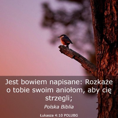 Picture 03 - Łukasza 4:10 POLUBG - Jest bowiem napisane: Rozkaże o tobie swoim - Bible Verse Picture