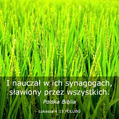 Picture 03 - Łukasza 4:15 POLUBG - I nauczał w ich synagogach, sławiony przez - Bible Verse Picture
