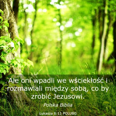 Picture 03 - Łukasza 6:11 POLUBG - Ale oni wpadli we wściekłość i rozmawiali - Bible Verse Picture