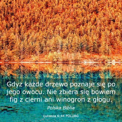 Picture 03 - Łukasza 6:44 POLUBG - Gdyż każde drzewo poznaje się po jego owocu. - Bible Verse Picture