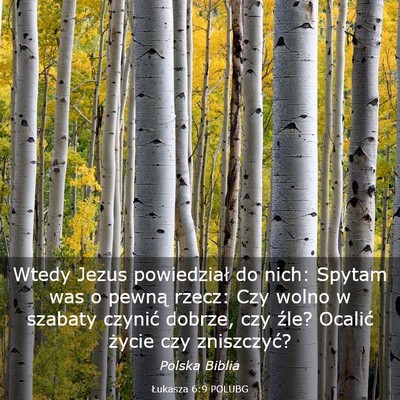 Picture 03 - Łukasza 6:9 POLUBG - Wtedy Jezus powiedział do nich: Spytam was o - Bible Verse Picture