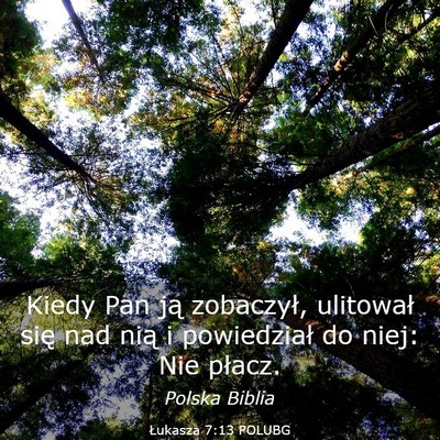 Picture 03 - Łukasza 7:13 POLUBG - Kiedy Pan ją zobaczył, ulitował się nad nią - Bible Verse Picture