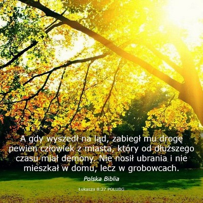 Picture 03 - Łukasza 8:27 POLUBG - A gdy wyszedł na ląd, zabiegł mu drogę pewien - Bible Verse Picture